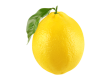 Lemon-2